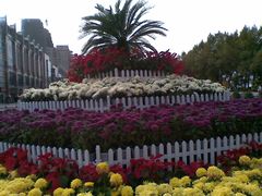 景点-人民防洪胜利纪念塔