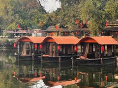 -侨美·唐荔园·40年地道粤菜