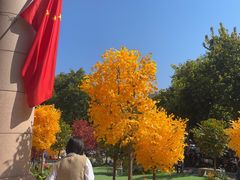 -西北轻工批发市场
