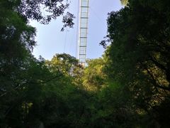 -藏龙百瀑风景区