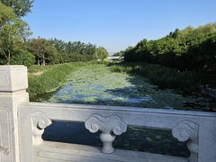 -大兴滨河森林公园