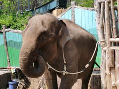 -大连森林动物园