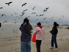 -老虎石海上公园