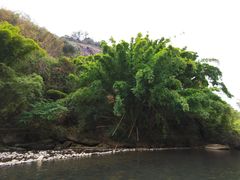 -九曲溪竹筏码头