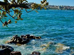 -麦考利夫人座椅