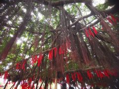 -胡里山炮台