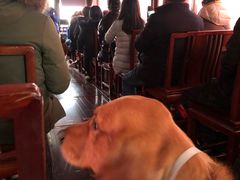 -下渚湖国家湿地公园科普馆