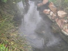 -深业半汤御泉庄温泉