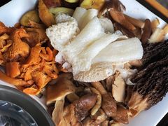 -蘑统田下·野生菌火锅