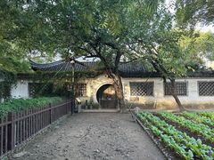 -绍兴鲁迅故里·沈园景区