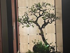 -湘上湘(米其林餐厅-正大中心总店)