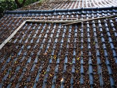 -鲤鱼塘农家山庄