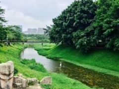 -莲花山公园