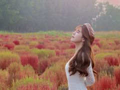 -汉长安城未央宫国家考古遗址公园