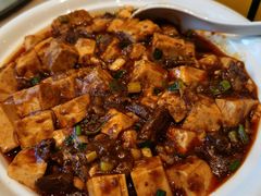 麻婆豆腐烧牛腩-长安先导国际创新人才交流中心·地中海餐厅·潮汕牛肉火锅·欧陆花园烧烤