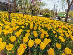 -廊坊文化艺术中心