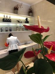 点击看大图 -昆明梦想医疗美容医院