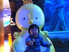 -成都浩海立方海洋公园