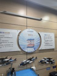 -重庆联合丽格第五医疗美容医院