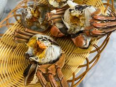 -蟹天蟹地农家菜·阳澄湖大闸蟹(浅水湾店)