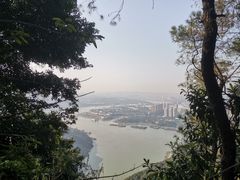 -铁山坪森林公园