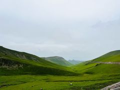-新疆那拉提国家旅游度假区