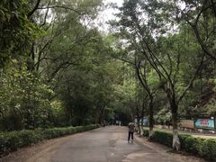 -滴水岩森林公园