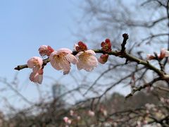 -白塘生态植物园