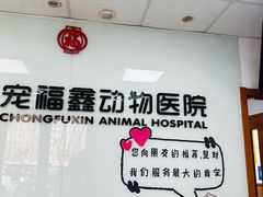 -宠福鑫动物医院(城北分院)