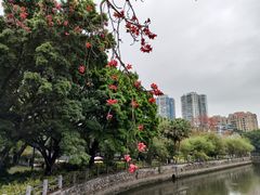 -晓港公园