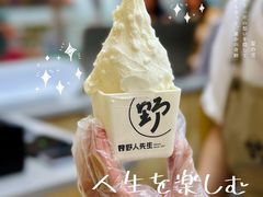 -野人先生现做冰淇淋(北京悠唐购物中心店)