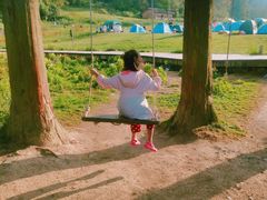 -武陵山森林公园