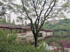 -重庆彩云湖湿地公园