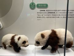 -四川大学博物馆