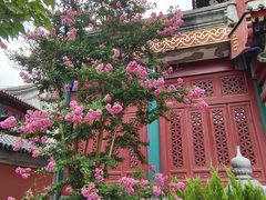 -天津大悲禅院
