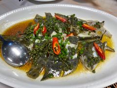 鲜花椒蒸多宝鱼-金碧轩粤菜海鲜大酒楼