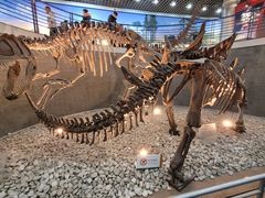 -国家自然博物馆