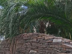 -石家庄市植物园