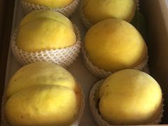 -南汇新场正宗水蜜桃采摘