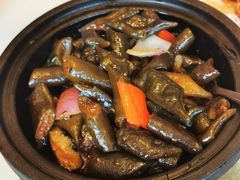 金不换啫海竹笋辽参-侨美食家·粤菜(体育西路店)