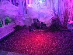 -水晶之星洗浴温泉汗蒸