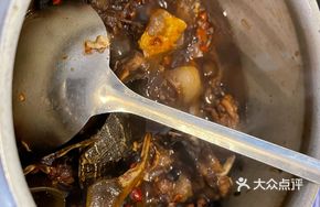 Secret-Recipe Softshell Turtle