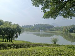 -福建鲤鱼洲酒店