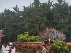 -南诏风情岛
