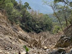 -梧桐山风景名胜区