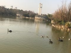 -南昌动物园