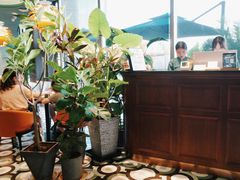 -星叶·东南亚料理(宁波万象汇店)