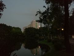 -晓港公园