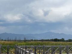 -野鸭湖国家湿地公园