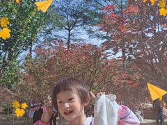 -广州市帽峰山景区